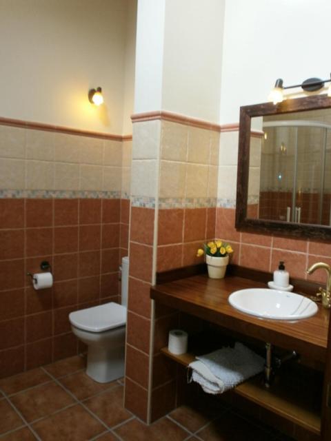 Casa Rural El Alcarcel Санто-Доминго-де-Пирон Экстерьер фото